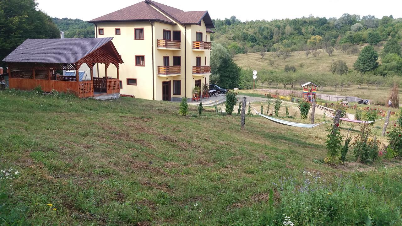 Pensiunea Lavinia Calvini Екстер'єр фото